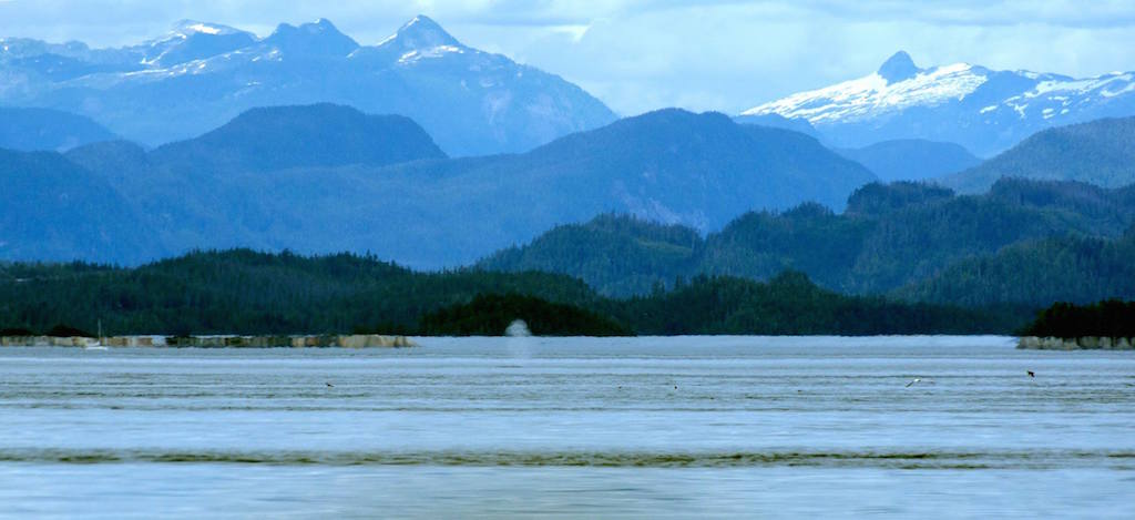 sailing-bc.jpg