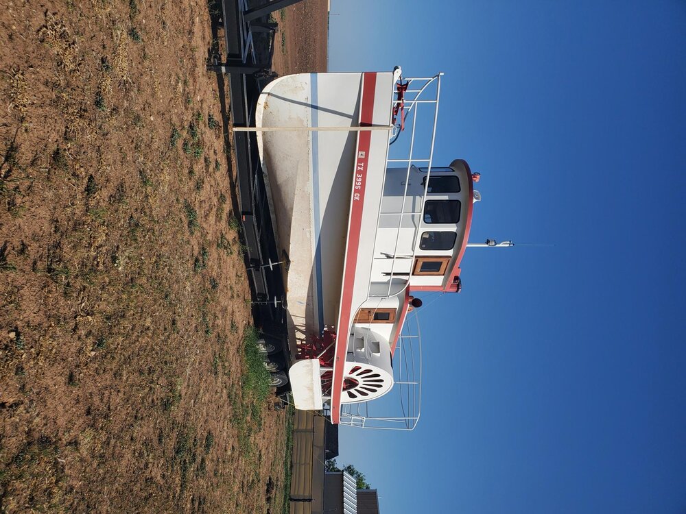 Tule on her trailer in West Texas cotton field.